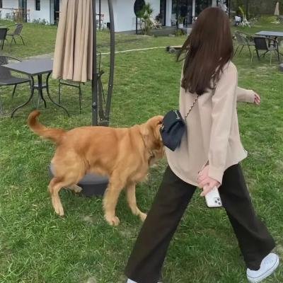 女人河